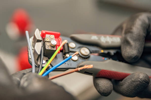 Best Electric Panel Repair  in South Wallins, KY